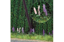 Busch 1217 Wild Lupins Model Railway Scenery