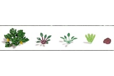 Busch 1222 OO / HO Scale Vegetables & Lettuce