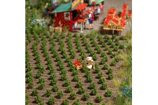 Busch 1265 Strawberry Plants 40