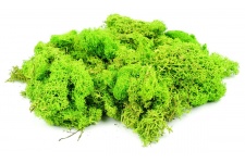 Gaugemaster GM164 Lichen Light Green 80g