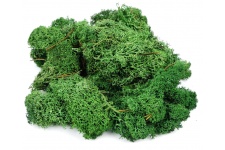 Gaugemaster GM165 Lichen Dark Green 80g