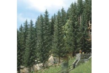 golden-valley-busch-6132-fir-spruce-trees