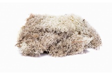 Hornby R7193 Lichen Stone Grey model railway scenery
