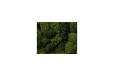 noch-08610-green-mix-lichen-35g-bag