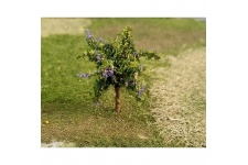 plum-tree_00967-800x800