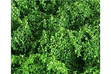 Tasma 00890 Foliage Cluster Light Green