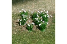 tasma_tas00981_snowdrops_pack_of_20