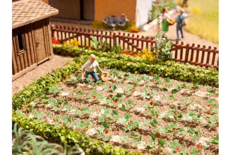 1187scr 5cd5b9787a24446 1