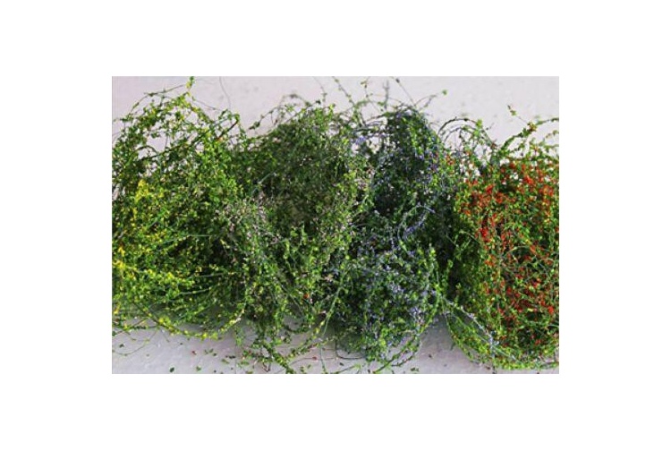 TASMA TAS00677 CLIMBING VINES WITH FLOWERS