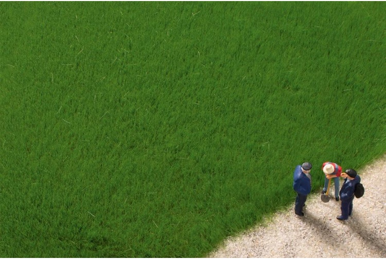 Auhagen 75615 Dark Green 4.5 mm Grass Fibers