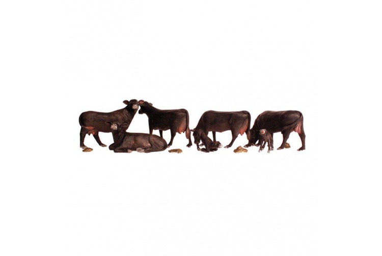 black-angus-cows