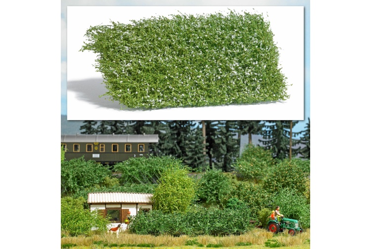 busch-3595-white-flowering-shrubs