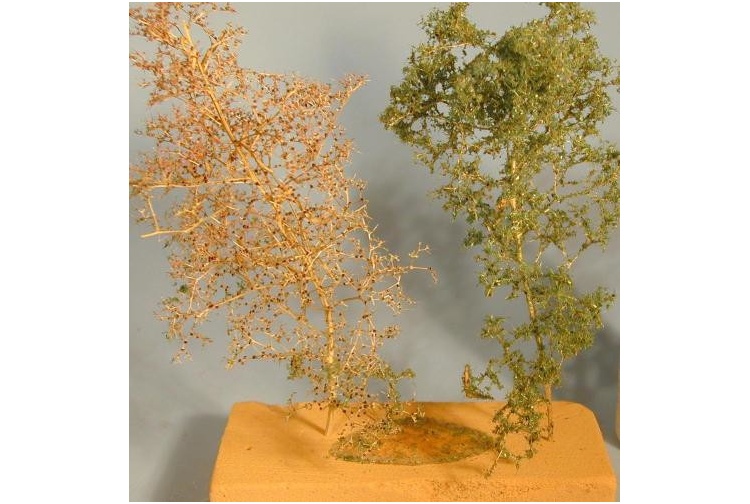 Deluxe Materials AD54 Deluxe Materials Scenic Spray Glue (100ml) Example Use 1 After