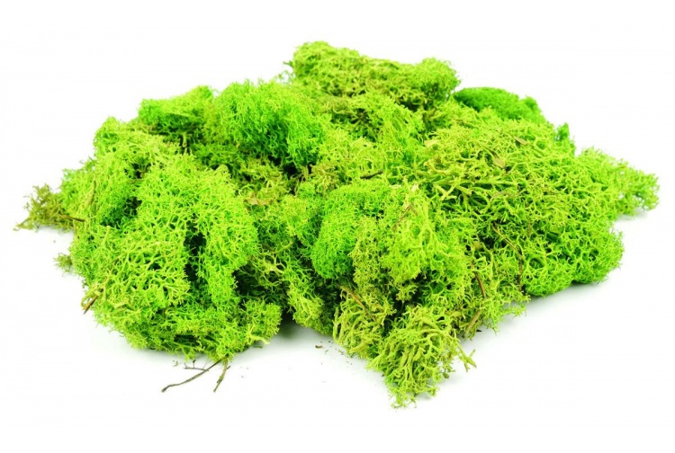 Gaugemaster GM164 Lichen Light Green 80g