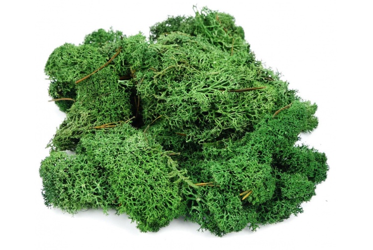 Gaugemaster GM165 Lichen Dark Green 80g