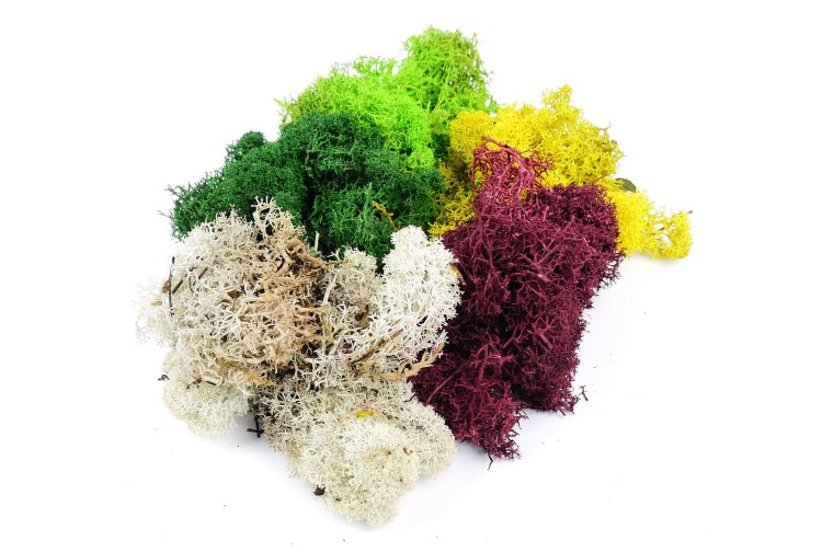 gaugemaster-gm166-assorted-lichen-80g-bag-was-gm166