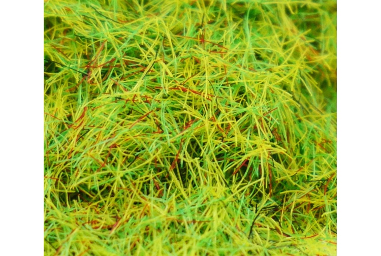 Gaugemaster GM171 Summer Grass Static Flock 30g Closeup