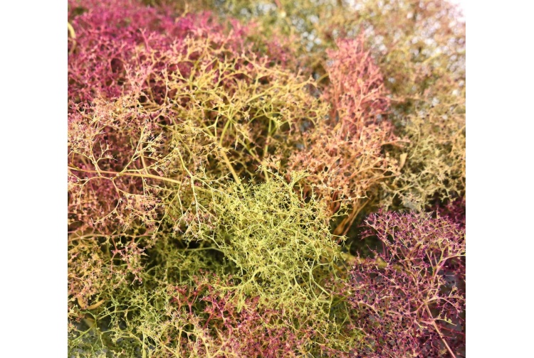 Gaugemaster GM195 Seafoam Tree Making Set Closeup Flock