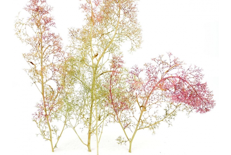 Gaugemaster GM195 Seafoam Tree Making Set Closeup Tree