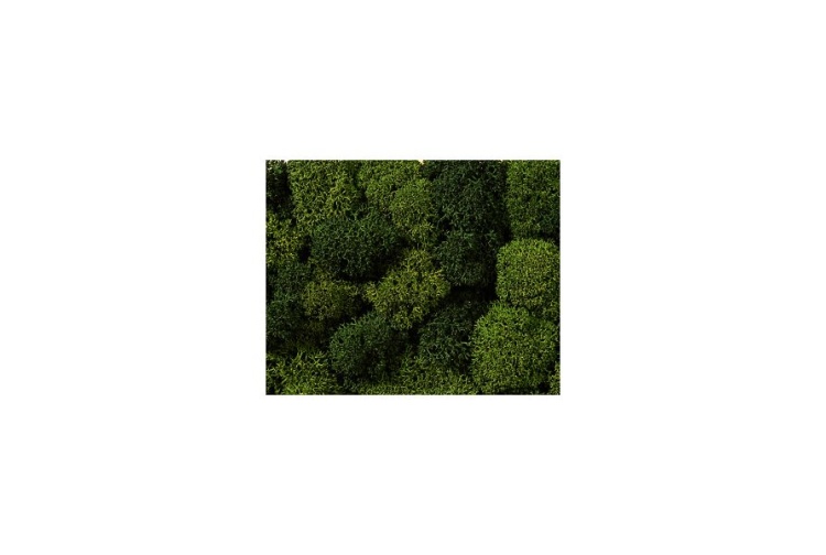 noch-08610-green-mix-lichen-35g-bag