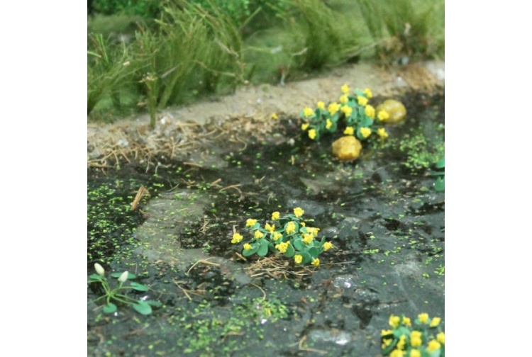 Tasma 00376 Marsh Marigold Plants 16 Example Layout
