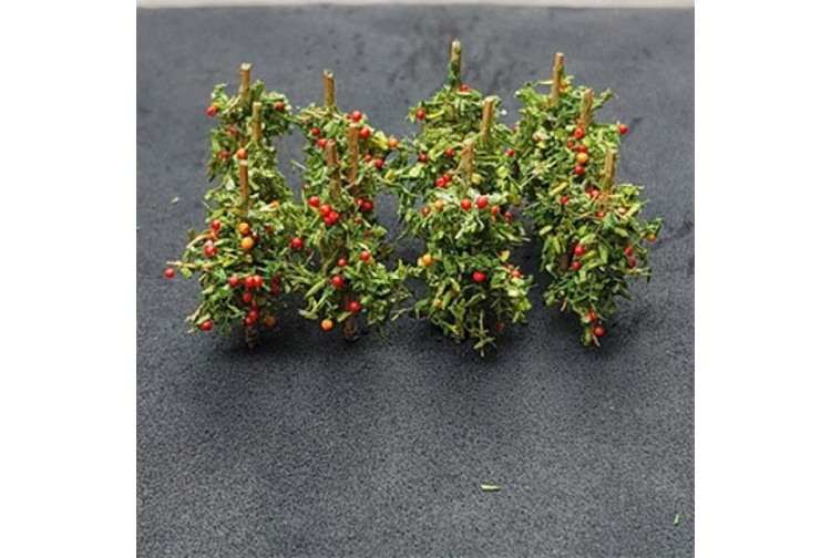 tasma-00993-apple-saplings