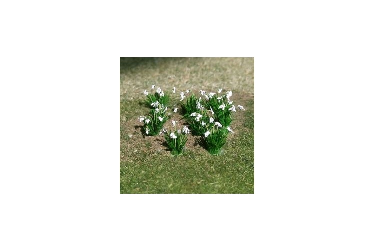 tasma_tas00981_snowdrops_pack_of_20