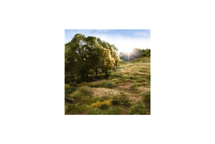 Woodland Scenics FS647 Static Grass Starter Kit Example Usage 2