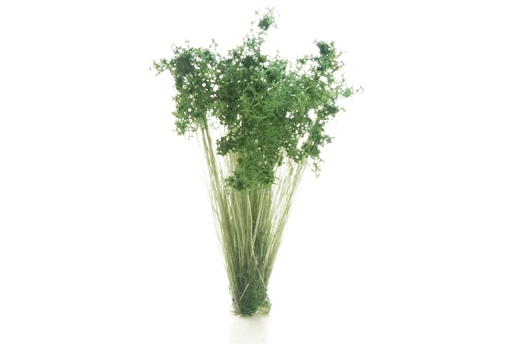 Woodland Scenics FS778 Dark Green Prairie Grass