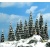 Busch 6466 20 Assorted Snowed Pine Trees