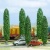 Busch 6228 HO/OO Gauge Railway Scenery Popular Trees Busch 6228 HO/OO Gauge Railway Scenery Popular Trees