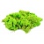 Gaugemaster GM164 Lichen Light Green 80g