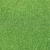 tasma-00968-light-green-grass-mat-85cm-x-125cm