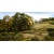 Woodland Scenics FS624 7mm Static Grass Straw Example Layout